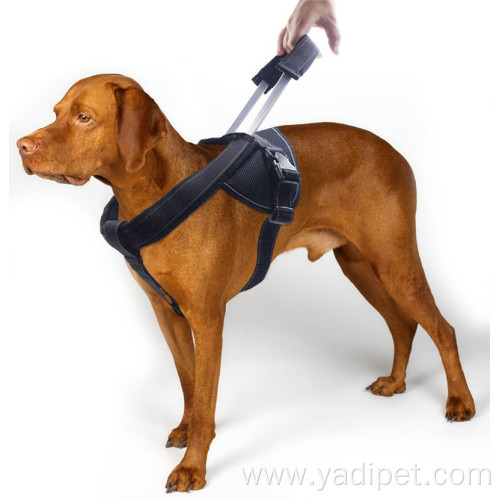 supplies Accessories no pull nylon dog harness